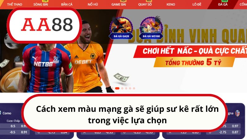 Cách xem màu mạng gà sẽ giúp sư kê rất lớn trong việc lựa chọn