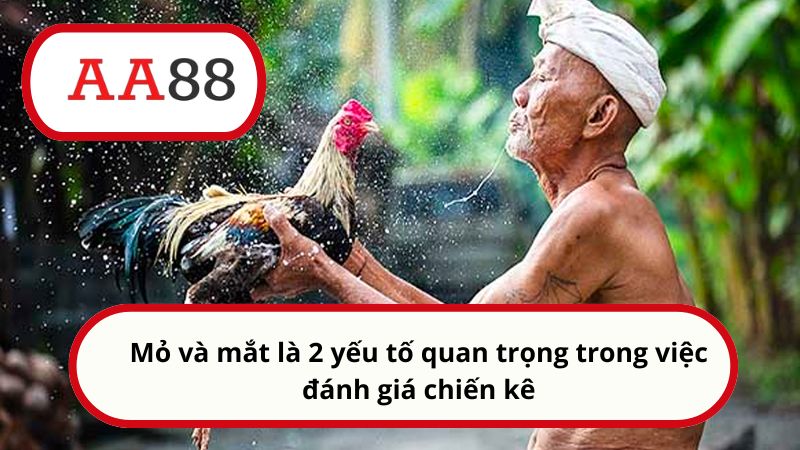 Mỏ và mắt là 2 yếu tố quan trọng trong việc đánh giá chiến kê