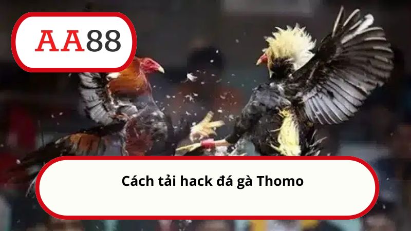 Cách tải hack đá gà Thomo