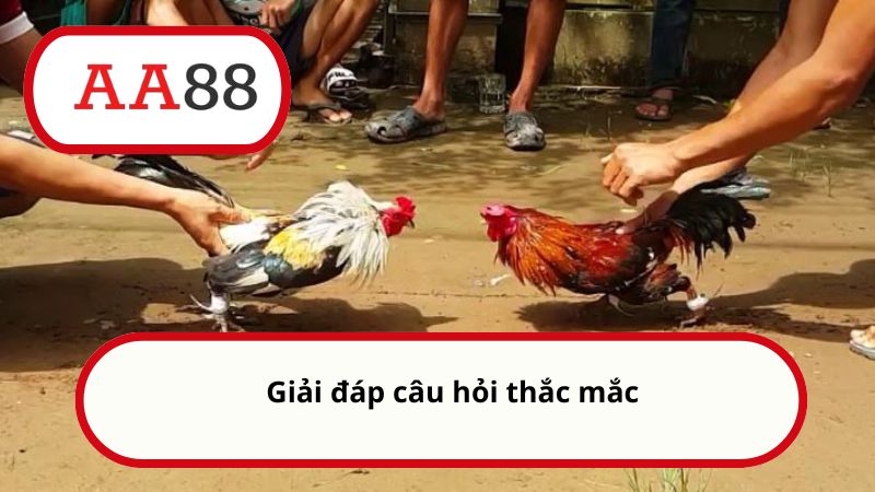 Giải đáp câu hỏi thắc mắc